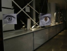 1376494_10151933266757905_81832195_n