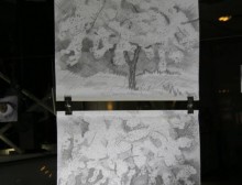 539776_10151933265932905_604017704_n