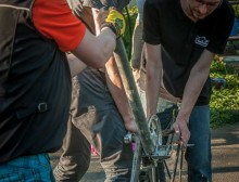 10157150_307238326094277_6502121126732309956_n