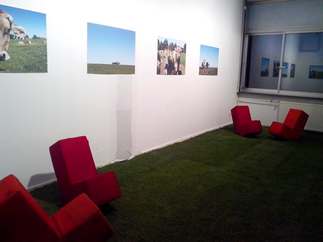 IMG_20140920_194616.jpg image