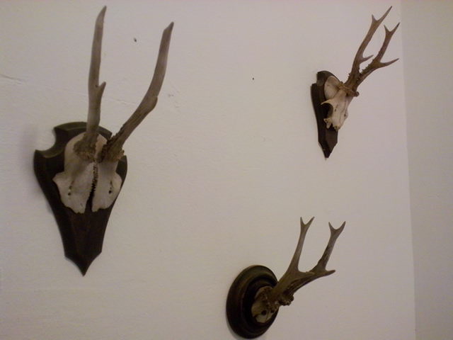 IMG_20140920_195150.jpg image