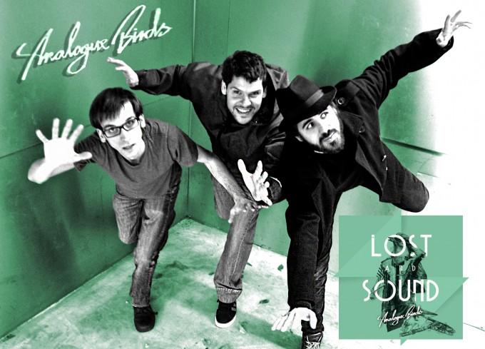 analogue_birds_21-680x489