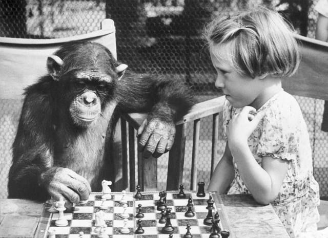 11140332_1132482273442609_4180851268320976505_n