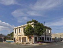 Anton Kats_treehouse