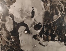 74459821_10157823254887905_8157154093614235648_n