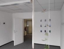 75242156_10157820958422905_1370178559804440576_n